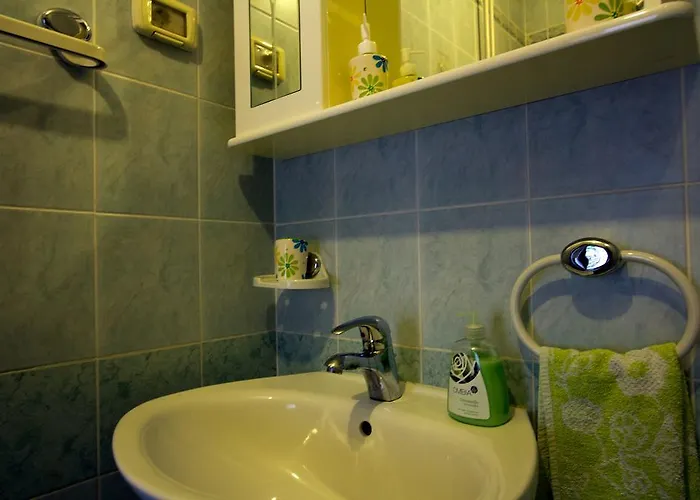 公寓 Petric 科佩尔